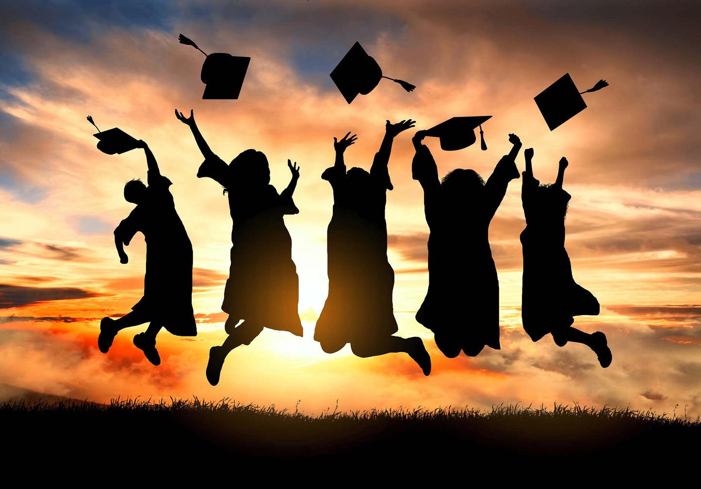 Elite University Specialist Programme (One-on-one)
