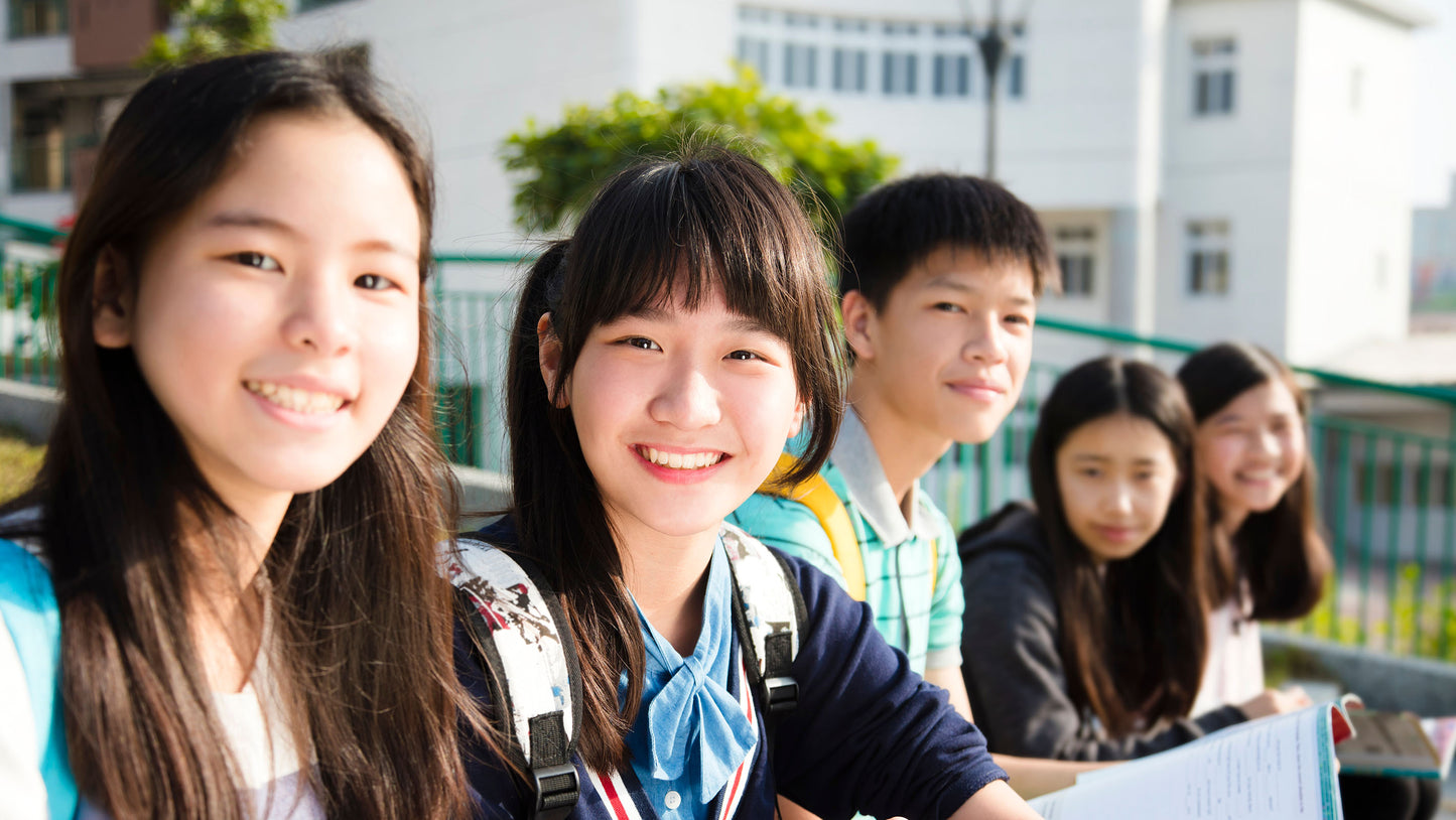 UK A Level Subject Tutoring (Group Class)